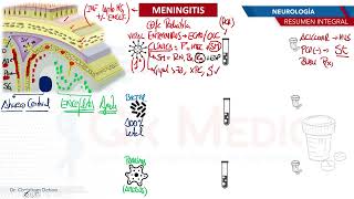 Neurología  Meningitis [upl. by Rollins]