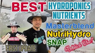 Best Hydroponics Nutrients  Hydroponics Lettuce  Kratky Method [upl. by Granniah496]