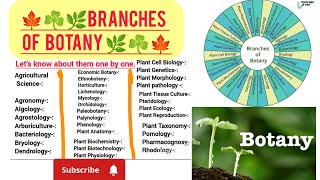 Branches of botany 🌿☘️🍁 scienceBiologyBotany 🌿 [upl. by Ijneb838]