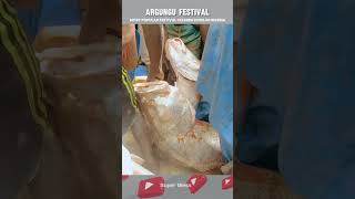 Fishing festivals with prizes in Nigeria [upl. by Atirabrab]