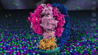 The F0F1 ATPase and ATP Production BioVisions [upl. by Linnet]