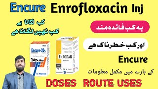 Encure Enrofloxacin Inj  Enrofloxacin Uses In Cattle Buffalo  Antibiotic Use In Animals  Disease [upl. by Anoyek]