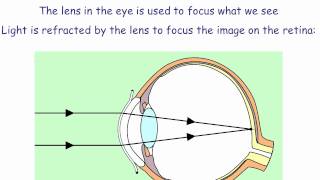 GCSE Physics Revision Mirrors and Lenses [upl. by Analiese]