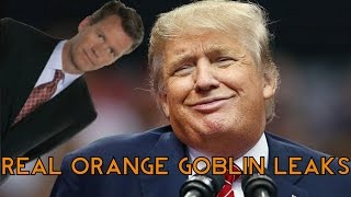 Leaked Donald Trump Call With Chris Hansen Feat Psychicpebbles [upl. by Groh335]