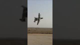 Mibo A10 Warthog wAli Mach  BRRRRRT [upl. by Hammer]