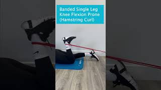 Banded Single Leg Knee Flexion Prone Hamstring Curl [upl. by Everson]