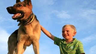 What Are SeizureAlert Dogs  Epilepsy [upl. by Stasny]