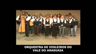 DVD  Orquestra de Violeiros do Vale do Araguaia [upl. by Delinda4]