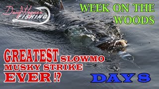 GREATEST SLOWMO MUSKY STRIKE EVER Day 8 WEEK ON THE WOODS [upl. by Sharline]