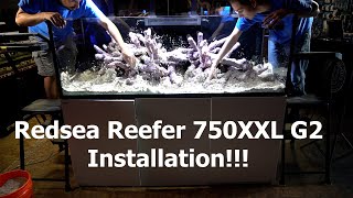 Redsea Reefer 750XXL G2 Display Aquarium Installation [upl. by Nikoletta]