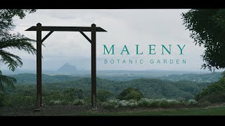 Maleny Botanic Garden 4K cinematic video [upl. by Nivlam]