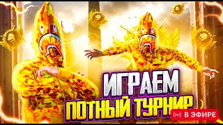 TAYPAN PUBG  14 PRO MAX  PUBG MOBILE WOW ПРИЗОВЫЕ КАСТОМКИ [upl. by Nylahs847]