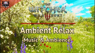 The Witcher 3 Relaxing Ambient Music  4 Hours of Emotional and Relaxing Soundtrack and Ambience [upl. by Yrakaz139]