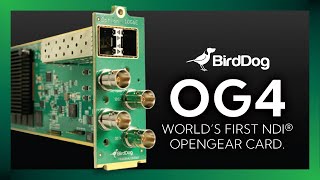 BirdDog openGear OG4 [upl. by Cadmann]