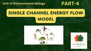 Single channel energy flow model  Environmental science [upl. by Galanti]