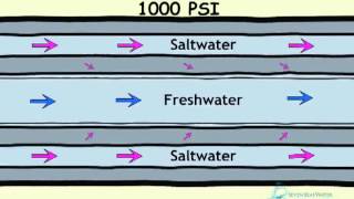 How Desalination Works [upl. by Eilac944]