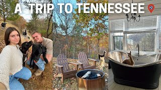 WE STAYED ON A 30 ACRE FARM IN TENNESSEE🧡 exploring Bristol farm friends family time [upl. by Kamillah398]