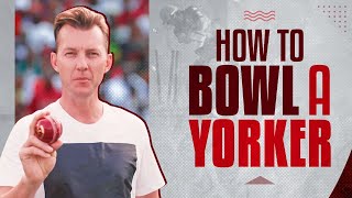 HOW TO BOWL A YORKER I BRETT LEE TV I MASTERCLASS [upl. by Ardnohsed534]