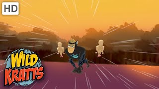 Wild Kratts Kratt Brothers To The Rescue  Creature Power [upl. by Nelleus270]