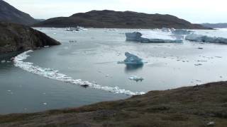 Greenland Narsaq [upl. by Athalie]