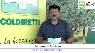 Notiziario frutticolo 5 luglio 2024 [upl. by Assenar]