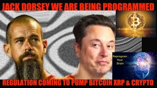 HOLY SH JACK DORSEY WE ARE BEING PROGRAMMED REGULATION COMING TO PUMP BITCOIN XRP amp CRYPTO [upl. by Cartan141]