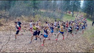 ASAA Alaska State XC DI Boys 2024 [upl. by Snider901]