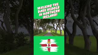 The Dark Hedges in Northern Ireland travel northernireland gameofthrones europe shorts uk [upl. by Burrow]