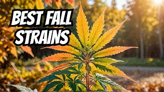 Top Fall Cannabis Strains Youll Love [upl. by Eddana]