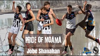 Jobe Shanahan Pride of Moama [upl. by Barlow563]