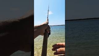 First ever Whiting Beach FISHING fishing beachfishing happydays insta360 camping gonefishing [upl. by Palua]