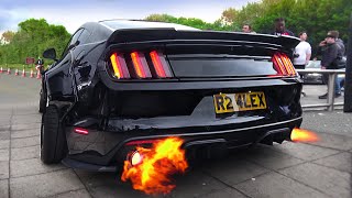 SCARY Ford Mustang V8 Sound Compilation 2020 [upl. by Etna]