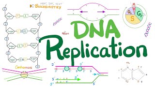 DNA replication in Prokaryotes amp Eukaryotes DETAILED  Molecular Biology 🧬 amp Biochemistry 🧪 [upl. by Ohl602]