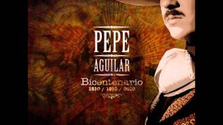 El Toro Viejo  Pepe Aguilar [upl. by Cadmar]