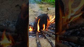 Village Baby Jackfruit Sambol Recipe😋 villagecooking yummy food cooking shots delicious [upl. by Deeyn]