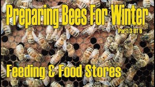 Preparing Honeybees For Winter Food Store And Feeding Part 3 of 6 [upl. by Eiznek]