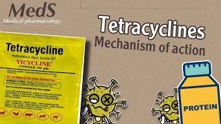 Proteins synthesis inhibitors  Tetracyclines  mechanism of action  MedS [upl. by Nosbig544]