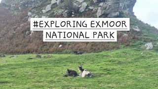 Wandering Around EXMOOR NATIONAL PARK DEVON [upl. by Nevsa]