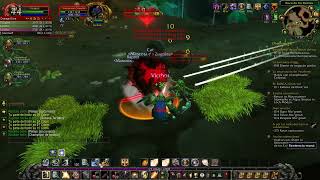 Wailing Caverns PROTECTION Paladin Role Tank WoW 335 gameplay Chromiecraft [upl. by Yseult]