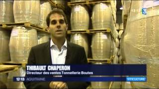 Profession tonnelier de linfluence de la barrique et du chêne sur le vin [upl. by Anilatsyrc]