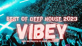 Vibey Deep House Mix Best of Ambler Productions [upl. by Enyawd806]