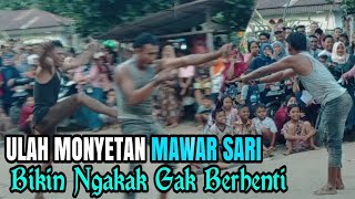 AKSI ULAH MONYETAN MAWAR SARI ⁉️BIKIN NGAKAK GAK BERHENTI [upl. by Eanat131]