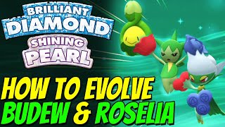 How to evolve BUDEW amp ROSELIA in Pokemon Brilliant Diamond and Shining Pearl [upl. by Luthanen]