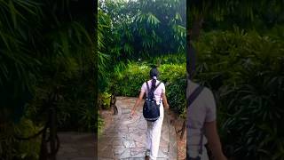 Bird park 🦆🦢🦜 minivlog collegedays memories youtubeshort [upl. by Nonrev]