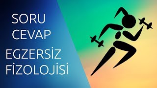 EGZERSİZ FİZYOLOJİSİ SORU CEVAPEndokrin Sisteme kadar [upl. by Luhem]