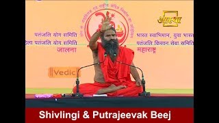 Benefits of Shivlingi amp Putrajeevak Beej [upl. by Hegyera990]