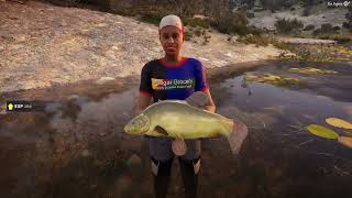 Diamond Tench  The Anlger  Spain [upl. by Zarihs]