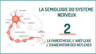 EPISODE 2 La sémiologie neurologique LA PARESTHESIE L’ ARÉFLEXIE L’ EXAGERATION DES REFLEXES [upl. by Thomasa]