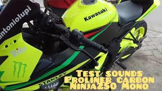 Proliner TR1 Carbon Long Ninja250 RR Mono fullsystem original [upl. by Rausch]