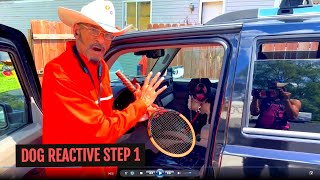 Rehabilitating Dog Reactive Pitbulls Part 1  Dog Whisperer BIG CHUCK MCBRIDE [upl. by Oriole]